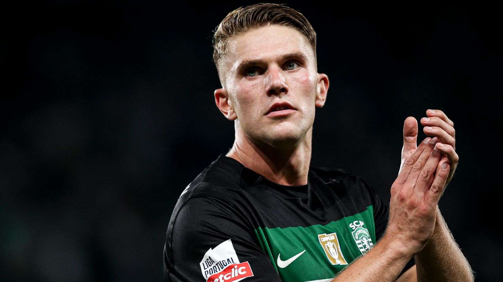 他不仅仅是 他不仅仅是