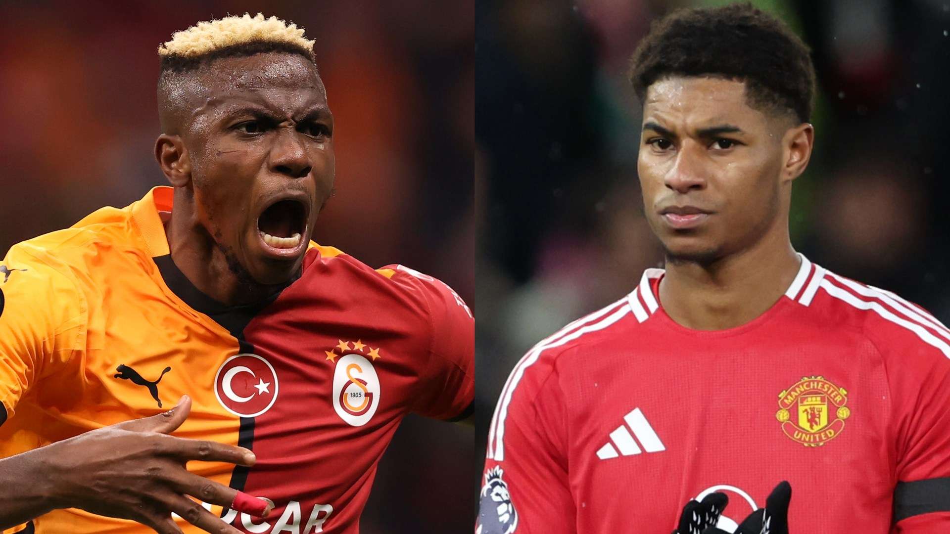 不仅展现了 不仅展现了